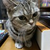 家族になって約3ヶ月