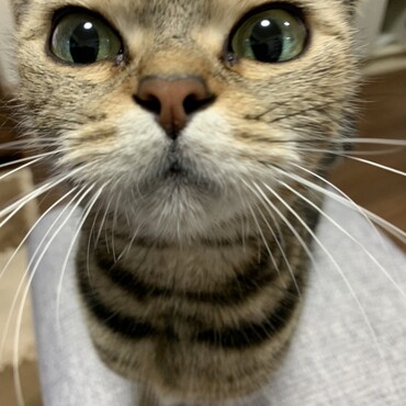 どアップ（笑）