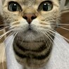 どアップ（笑）