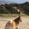 の写真