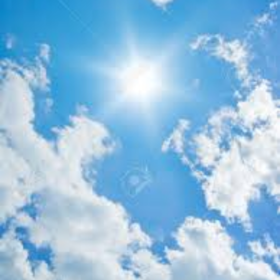 コロのカバー写真