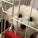 トイプ✖︎マルチのMIX