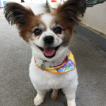 サマーカット✂️した時の写真