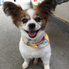 サマーカット✂️した時の写真