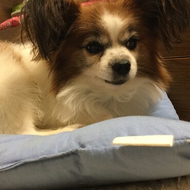 の写真