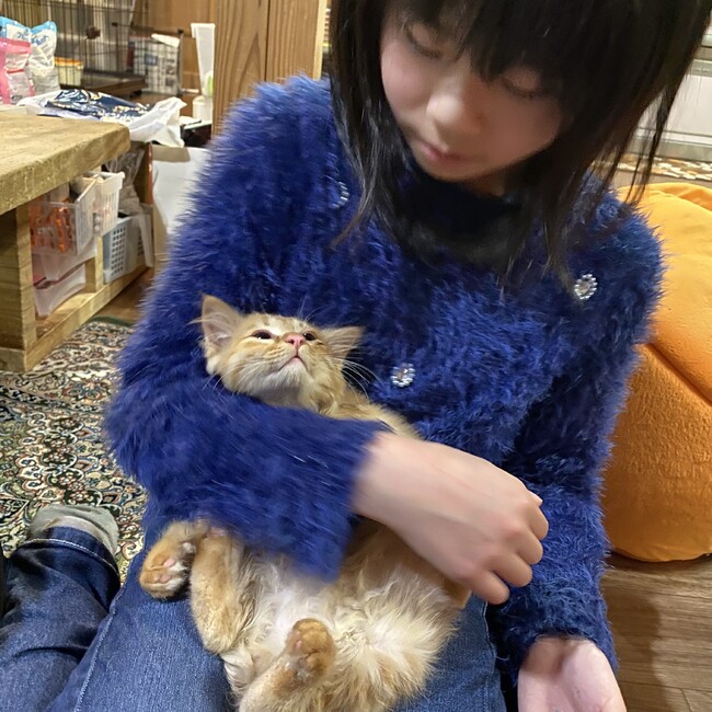 めろ123のカバー写真