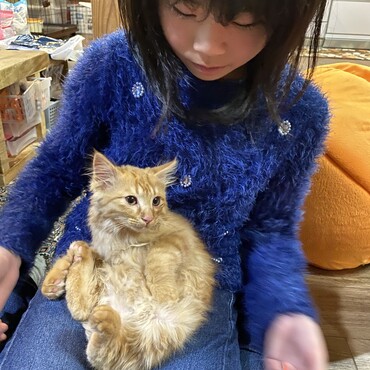 の写真