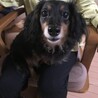 村上ココ