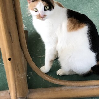 気品高いので姫と呼んでます