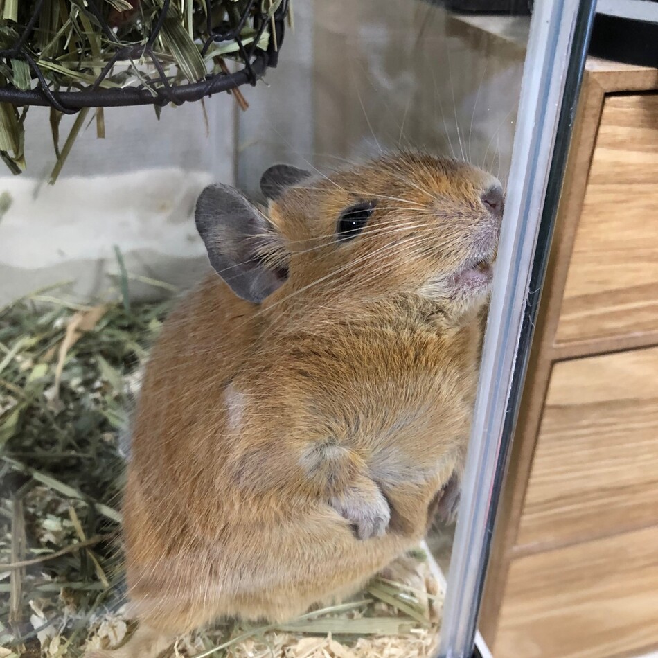 松五郎のカバー写真