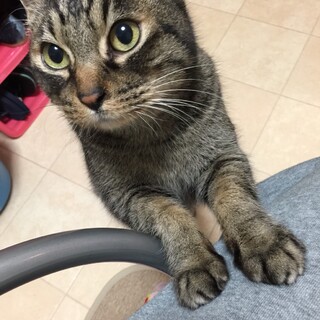 可愛がってくださる方どうかよろしくおねがいします