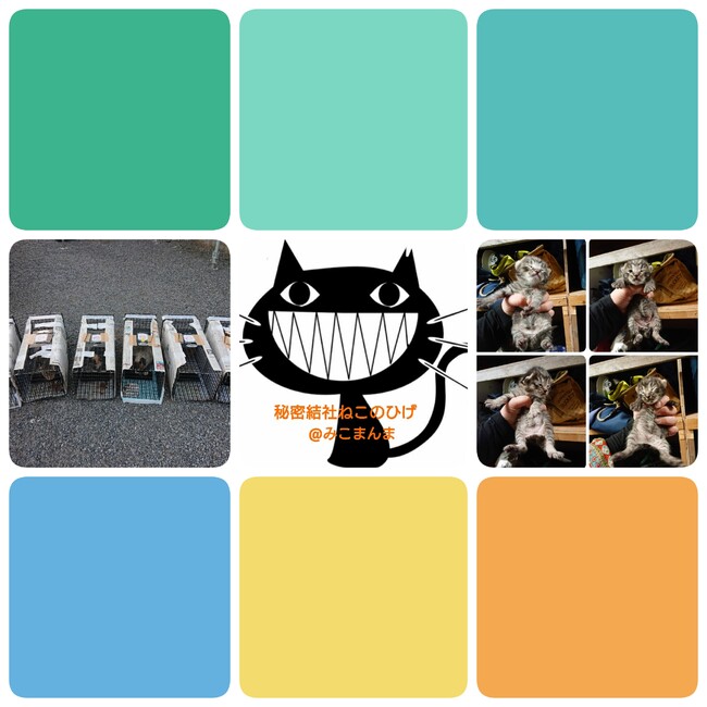 秘密結社ねこのひげ＠みこまんまのカバー写真
