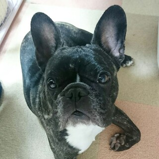 素敵な家族ができました、ありがとうございました♪