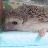 まりつん