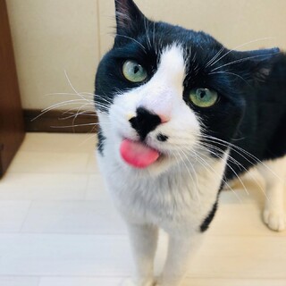 初対面でもゴロスリ甘えた男の子!!
