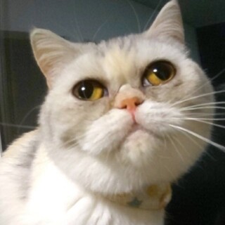 おっとり可愛い★杏ちゃん