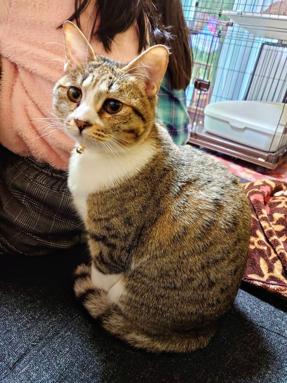 【相談中】ストーカー予備軍のくうちゃん サムネイル2