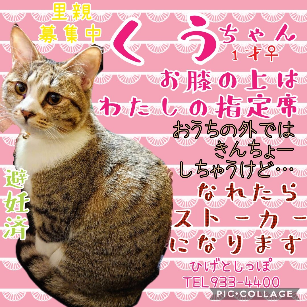 【相談中】ストーカー予備軍のくうちゃん サムネイル3