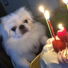 福くん！一歳のお誕生日