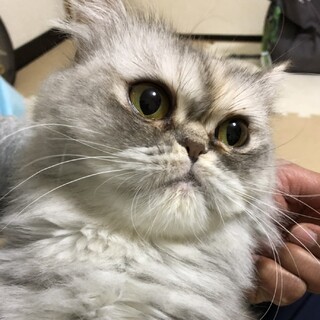 遊ぶの大好き★桃ちゃん