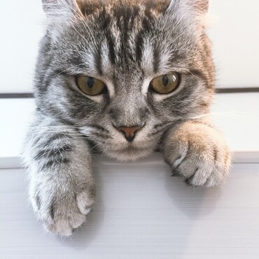 高いところにいるとなぜか怖い顔に。