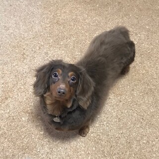 人が大好き、おっとりさんのセレナちゃん♪