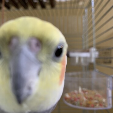 どアップです