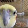 どアップです
