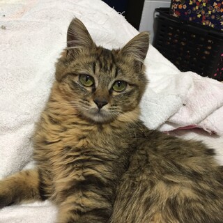 ティナちゃん6ヶ月♡