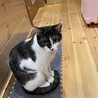 はな‼︎