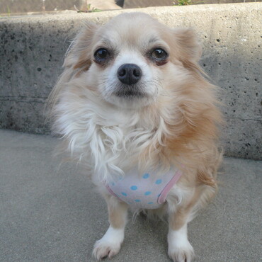 なっつ・・会いたいな。。。。