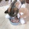 ゆきまる11