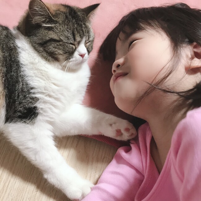 ゆきまる11のカバー写真