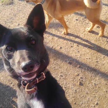 おやつが欲しくてお口が…