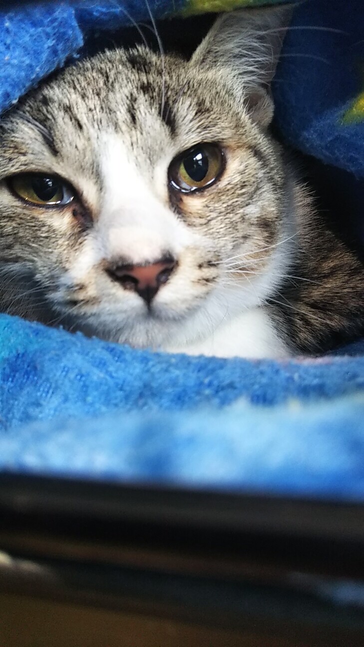 【相談中】ストーカー予備軍のくうちゃん サムネイル4