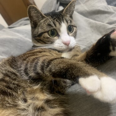 大きくなりました^_^