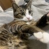 大きくなりました^_^