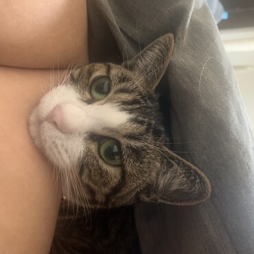 こまめちゃんの写真