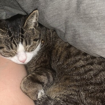 こまめちゃんの写真