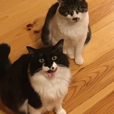 オヤツくれー！