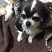 まめ