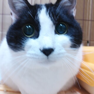 目は見えないけど元気です！