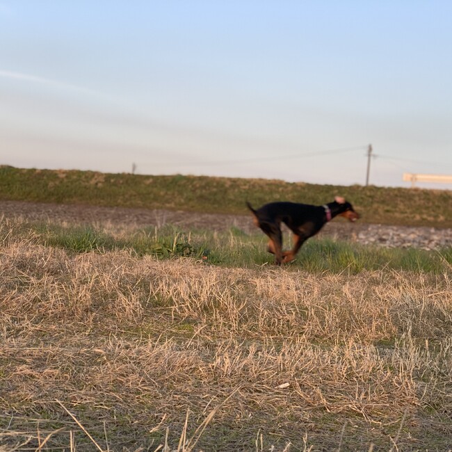 Kita108のカバー写真