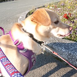 「負けんぞΨ(￣∇￣)Ψ」サムネイル2