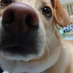 「負けんぞΨ(￣∇￣)Ψ」サムネイル3