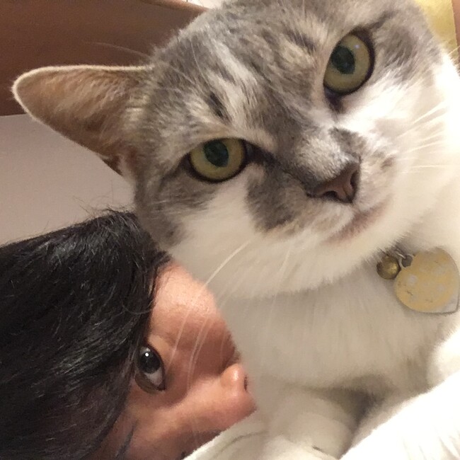 ちぃ19820305のカバー写真