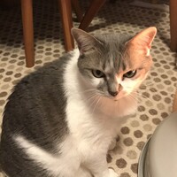 メィ