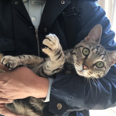 毎朝逃げる海ちゃんと毎朝捕まえるパパ。