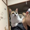 の写真