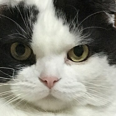 イロハ　4歳半　メス